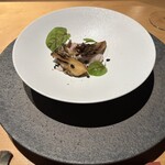 シブ ニシナカス - 