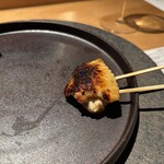 シブ ニシナカス - 