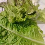 焼肉ポハン - サンチュ690円