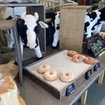 EMINA DONUTS YOKOICHI KIYOTA - 