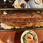 京都祇園うなぎ四代目菊川 - 