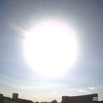 米澤牛バル 譽 - 