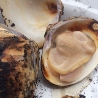 ヌキテパ - 焼き蛤。