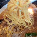 日月堂 - 太めの少し縮れた黄色い麺は最高にウマイ