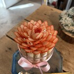 ラトリエ ア マ ファソン - 