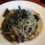 ノッティールカ - 