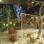 ホテルパームスプリング - 