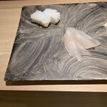 島津 - カワハギとアオリイカ