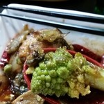 めだかタンタン - 2015.1.10 初ロマネスコいただきました～