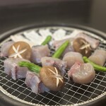 活・とらふぐ専門店 鶴翔 - 