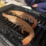 博多野菜巻き串ともつ焼き すみび - 