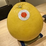 鮨 こん藤 - これが〝晩白柚（ばんぺいゆ）〟