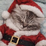 パティスリー　シェ　ニノ - 