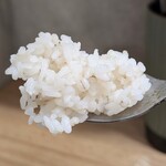 東京エイジングスパイス Japanese Bistro ＆ Café - ご飯　リフト