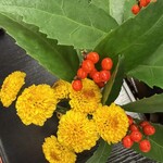 豊島屋菓寮 八十小路 - 