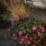 豊島屋菓寮 八十小路 - 