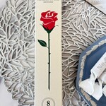 ナンバー シュガー - 