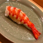 木挽町 とも樹 - ゆがきたての車海老。身が程よく甘い