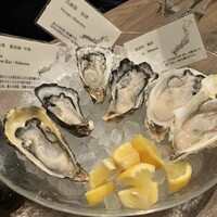 Oysterbar&Wine BELON 銀座店 - 