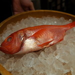 筑紫樓 - 本日のおすすめ食材 ”金目鯛” ＠4,000～4,500円 2015.1.x