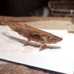 天ぷら やぐち - 