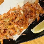 ホルモン酒場 - 