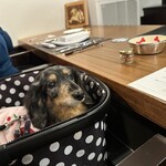 コレドール湯河原 Dog&Resort - 