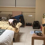コレドール湯河原 Dog&Resort - お部屋