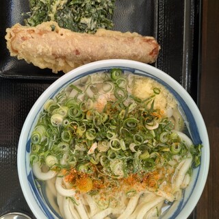 手打ちうどん のぶ屋_1