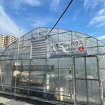 いちごdeいちえ - 