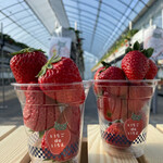 いちごdeいちえ - 