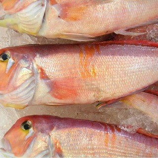 新宿で人気の魚介 海鮮料理 すべて ランキングtop 食べログ 新宿で人気の魚介 海鮮料理 すべて ランキングtop 食べログ