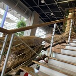 カフェレストランアンジー - 