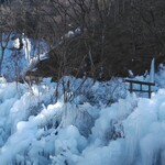 ずりあげうどん - あしがくぼの氷柱☆