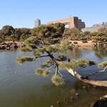 割烹天竜 - 清澄庭園2