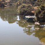 割烹天竜 - 白鷺?飛んだ^^