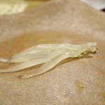 うを徳 - 宍道湖の白魚。