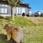 ダイニング ポート 御料鶴 - テラス席を裏庭から見たところ。あとはパラソルがあれば、、、