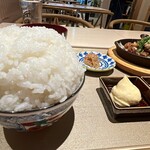 SUMIBIX - 