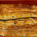 うなぎや せきの - 脂乗り抜群のポッチャリ鰻