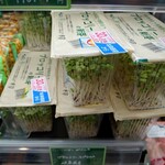 Bio c' Bon 武蔵小山店 - 