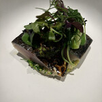 B - 下にひかれているブロッコリーのプチプチ感が新鮮