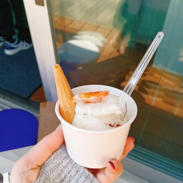 トミヒサアイス （Tomihisa Ice Cream） - 新宿御苑前/ジェラート
