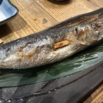 吉田町食堂 きんぎょ - 