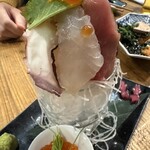 吉田町食堂 きんぎょ - 
