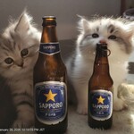 うなぎ料理 丑松 - 