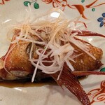 どぜう・四季料理 やぶや - 程よく脂も乗ってふっくら♡