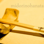 雫 - 器は陶芸家さんより・・・。