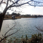 Tsurogi - 池