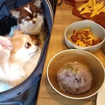 NATURAL BAL MEAT UP - 